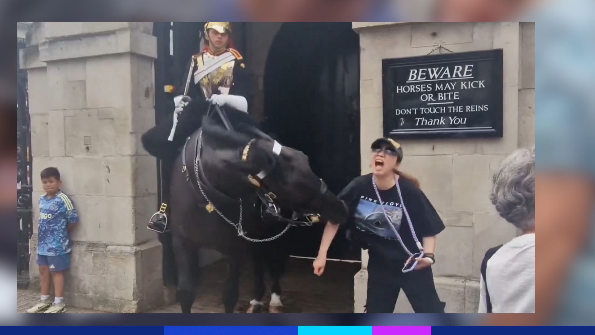 Londres: elle s’évanouit après avoir été mordue par un cheval de la garde  royale