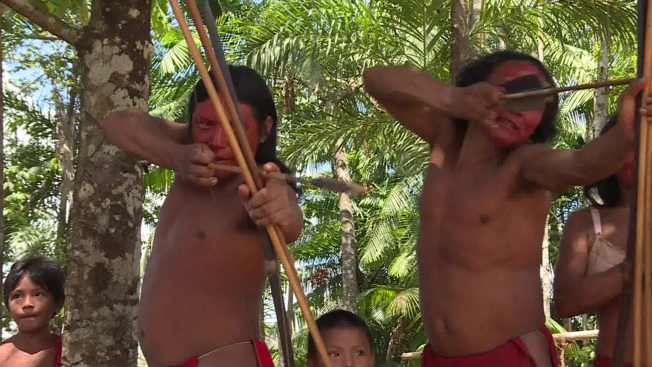 Les Waiapi luttent pour garder leur forêt